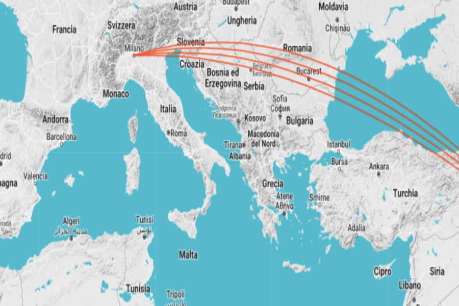 Mapping Roots, Charting Routes